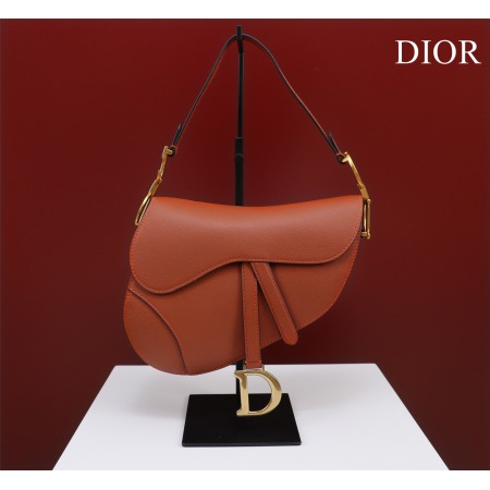 Dior Saddle M0446